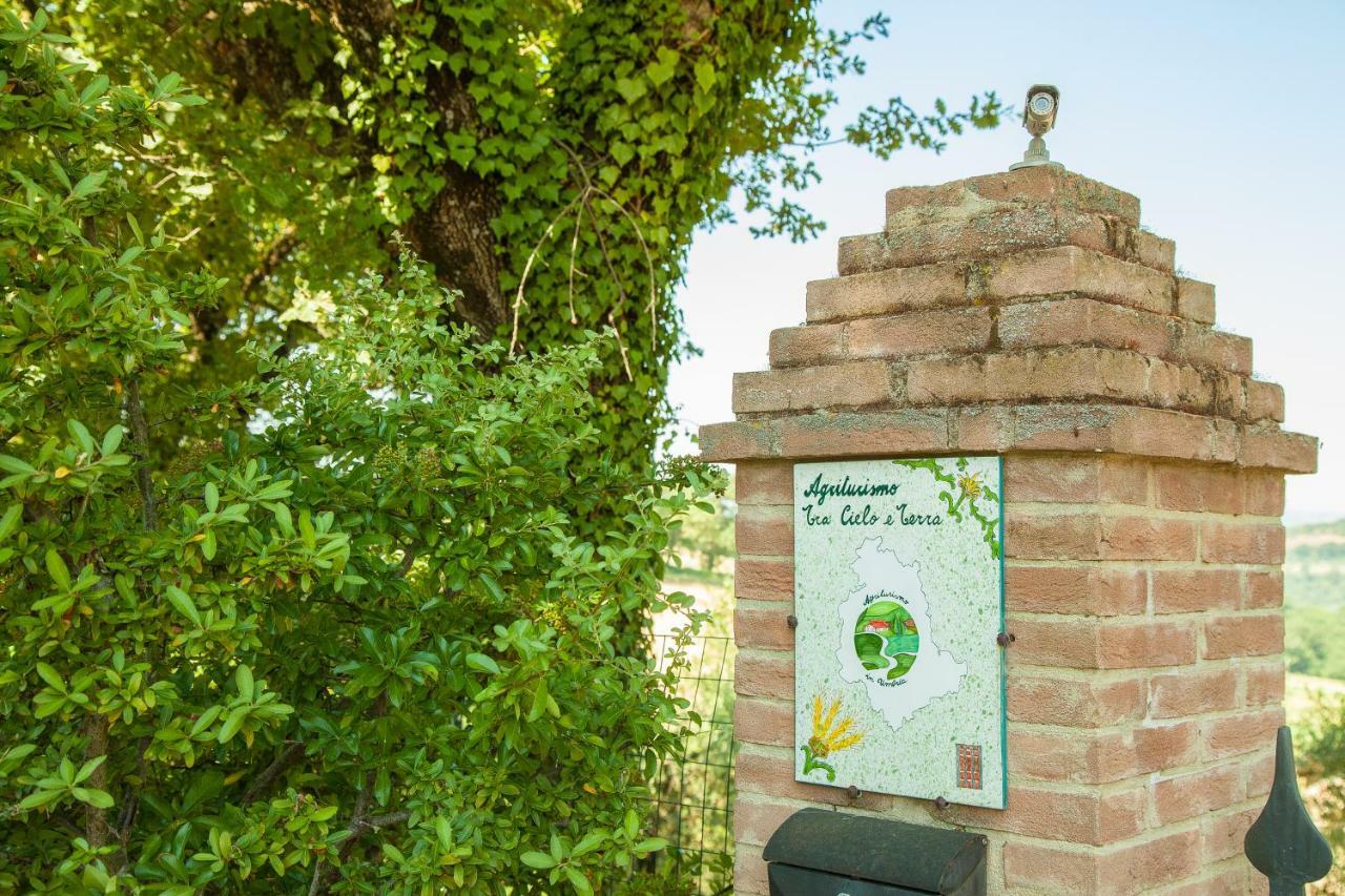 Agriturismo Bio Tra Cielo E Terra Apartment Grutti Exterior photo